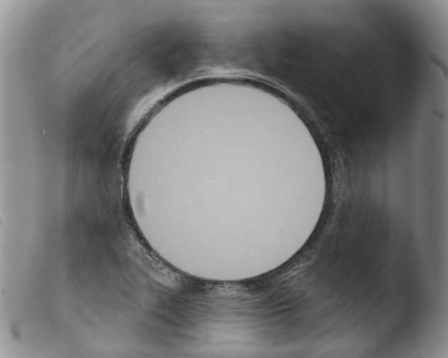 X0000103461319200810240940