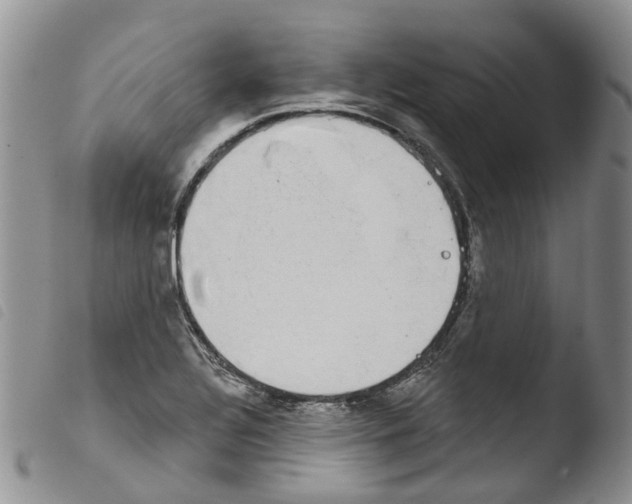 X0000103461320200810240940
