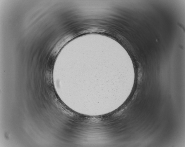 X0000103461321200810240940