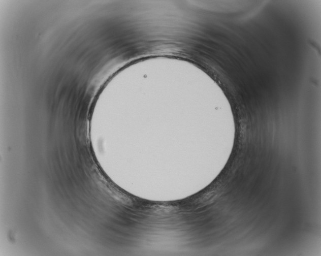 X0000103461324200810240940