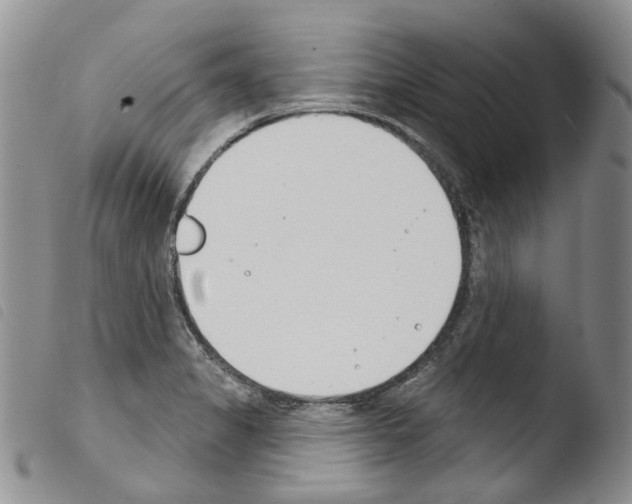X0000103461325200810240940