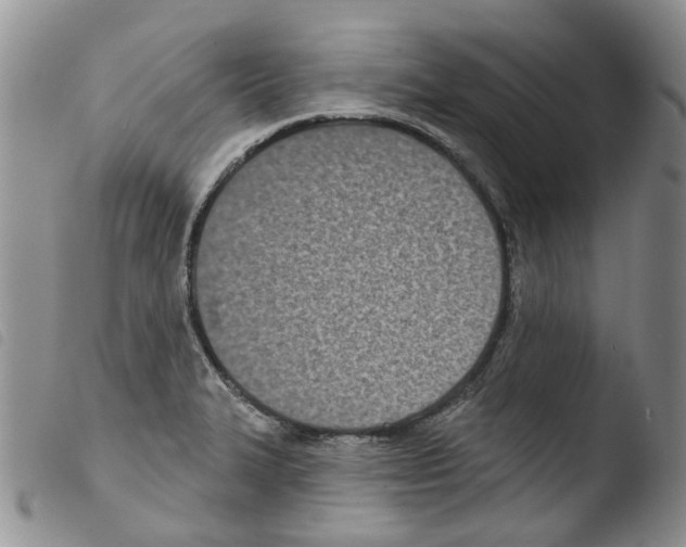 X0000103461327200810240940