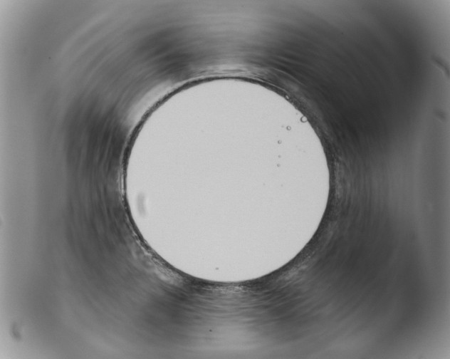 X0000103461328200810240940