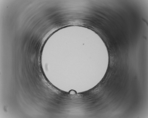 X0000103461331200810240940