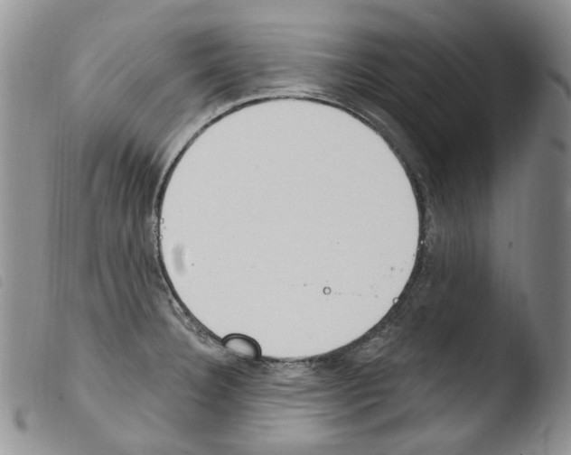 X0000103461332200810240940