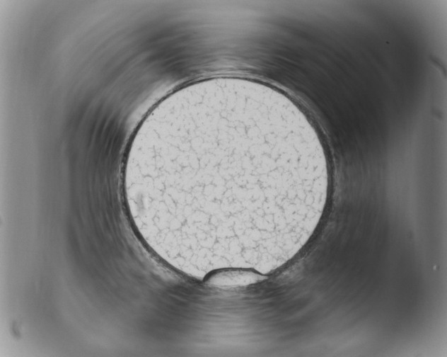 X0000103461333200810240940
