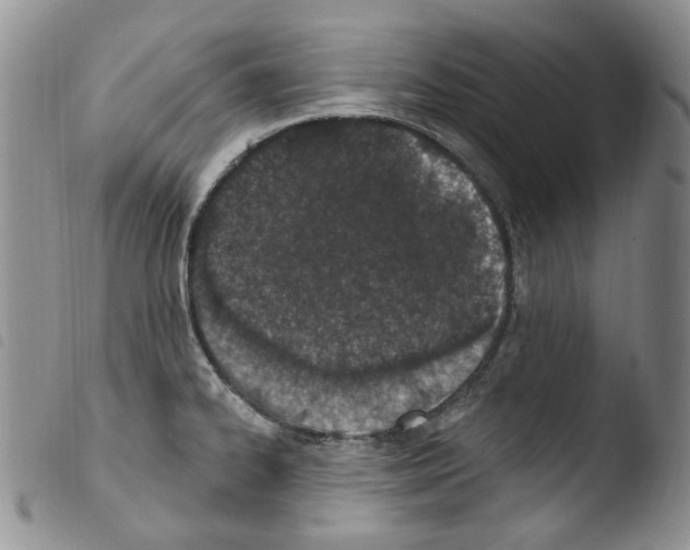 X0000103461334200810240940