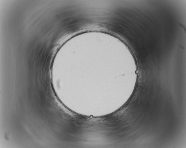 X0000103461335200810240940