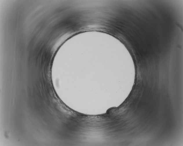 X0000103461336200810240940