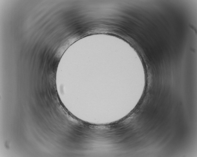 X0000103461337200810240940