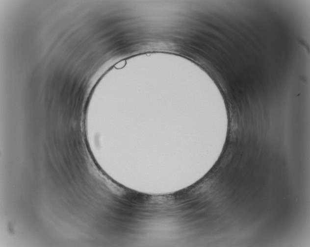 X0000103461339200810240940