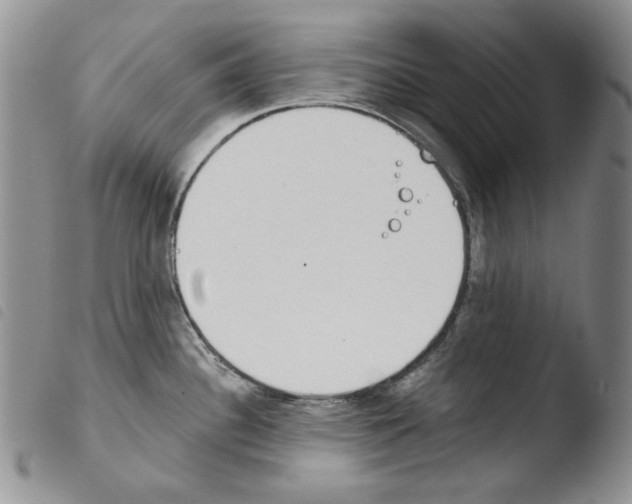 X0000103461340200810240940