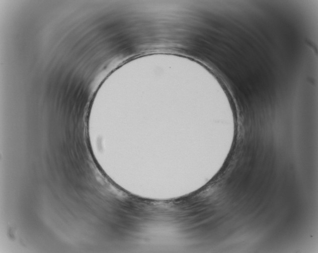 X0000103461341200810240940