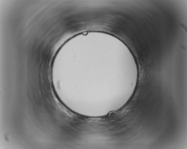 X0000103461342200810240940
