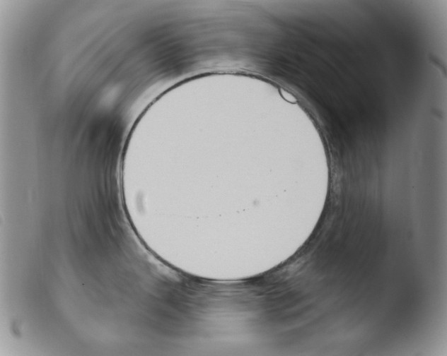 X0000103461343200810240940