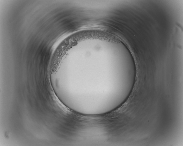 X0000103461344200810240940