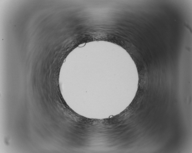 X0000103461345200810240939