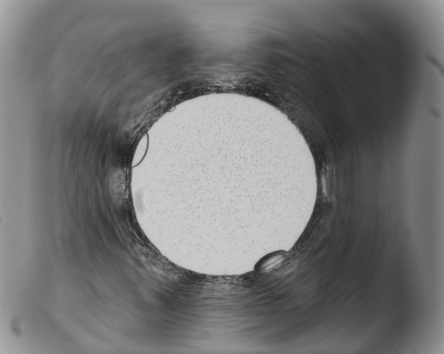 X0000103461347200810240939