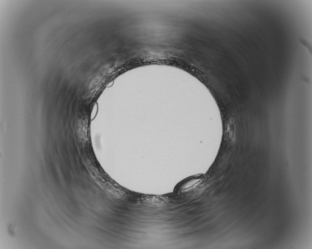 X0000103461348200810240939