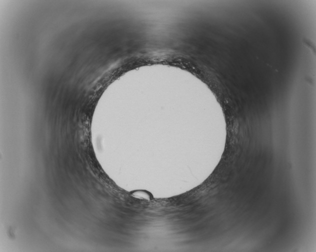 X0000103461349200810240939