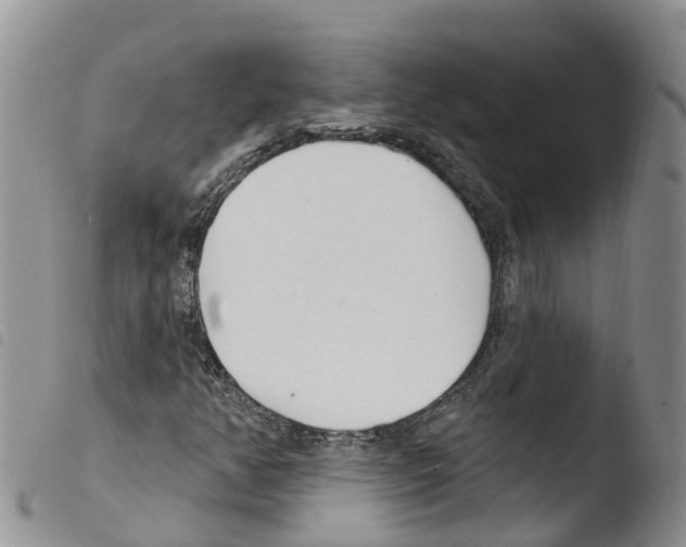X0000103461350200810240939