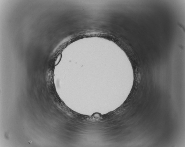 X0000103461351200810240939
