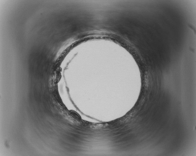 X0000103461352200810240939