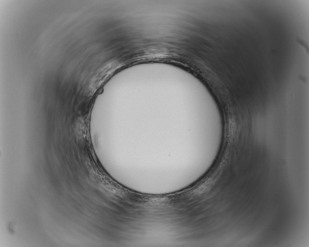 X0000103461353200810240939