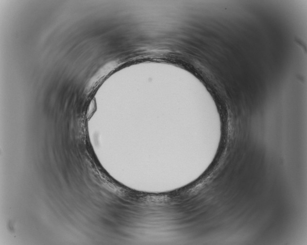 X0000103461354200810240939