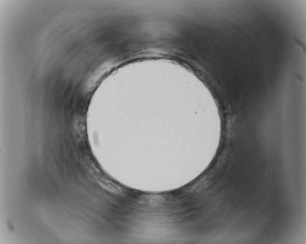 X0000103461355200810240939