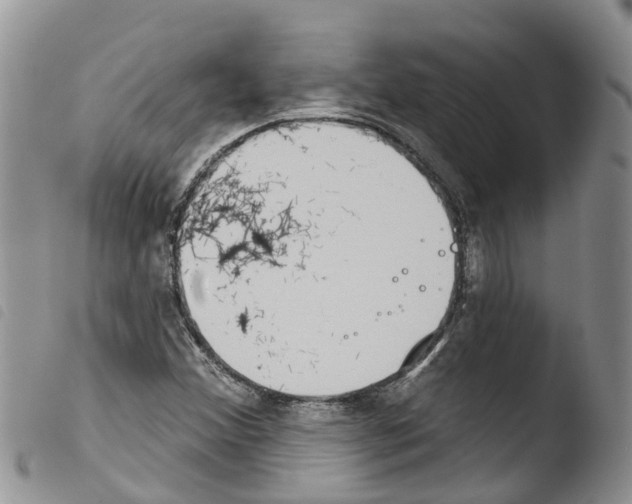 X0000103461356200810240939