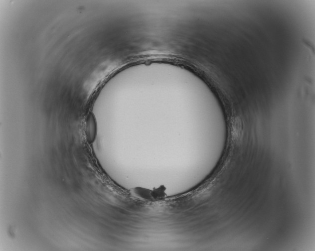 X0000103461357200810240939