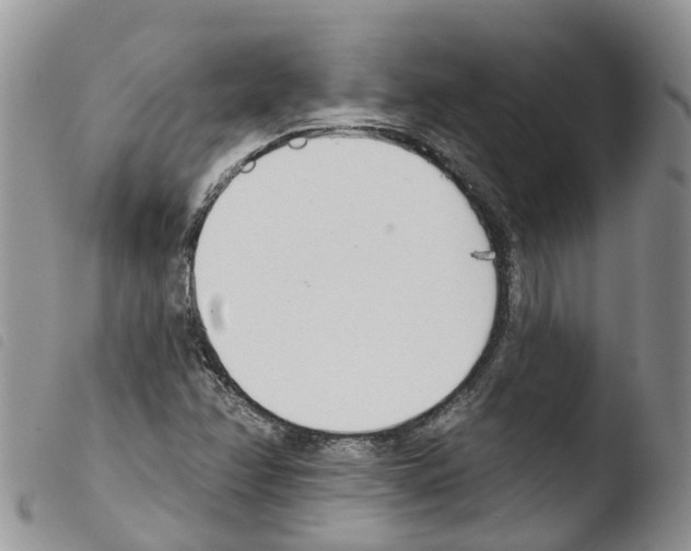 X0000103461358200810240939
