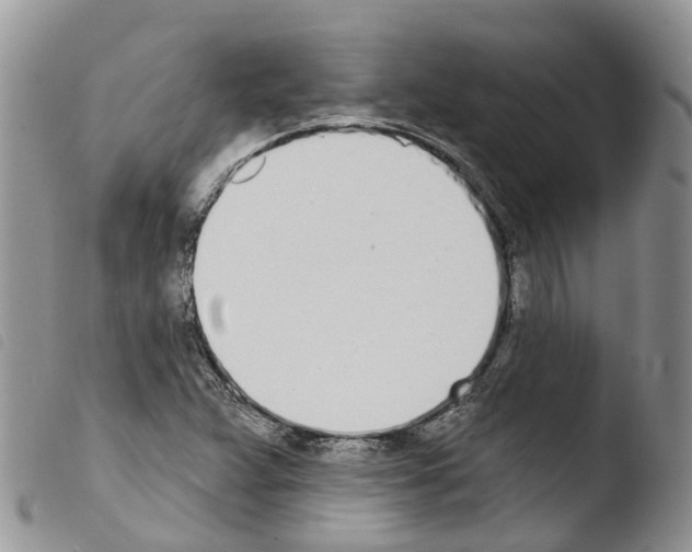 X0000103461359200810240939