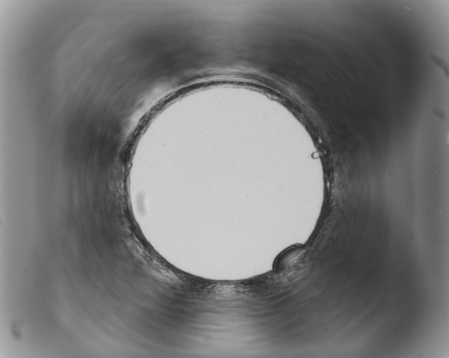 X0000103461360200810240939