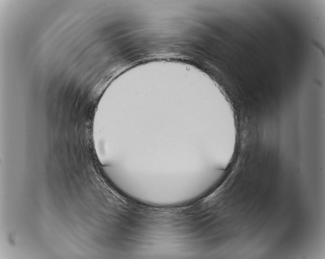 X0000103461361200810240939