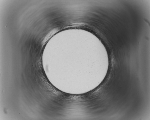 X0000103461362200810240939