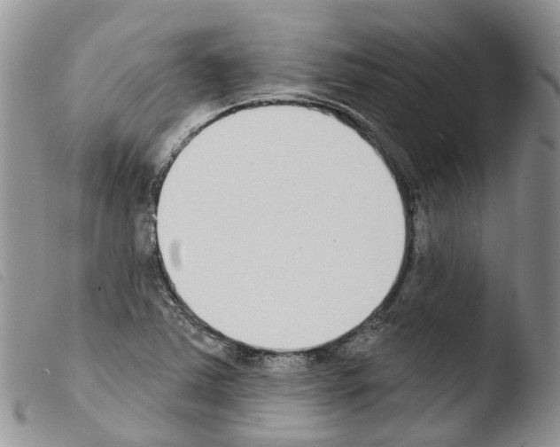 X0000103461363200810240939