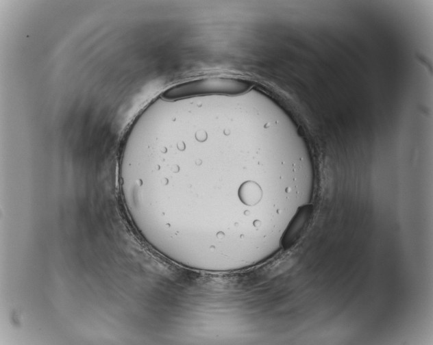 X0000103461365200810240939