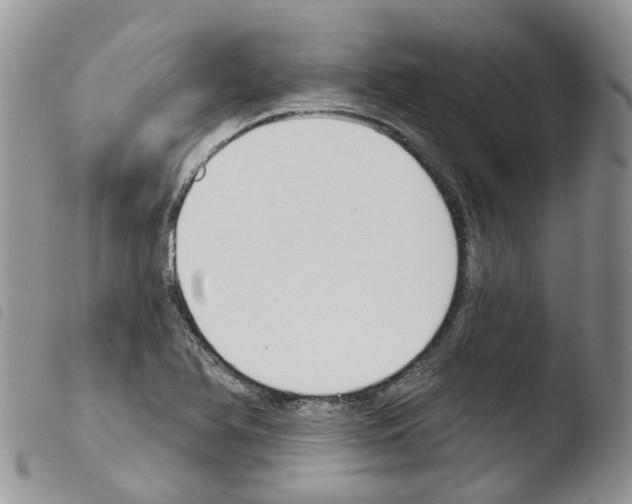 X0000103461366200810240939