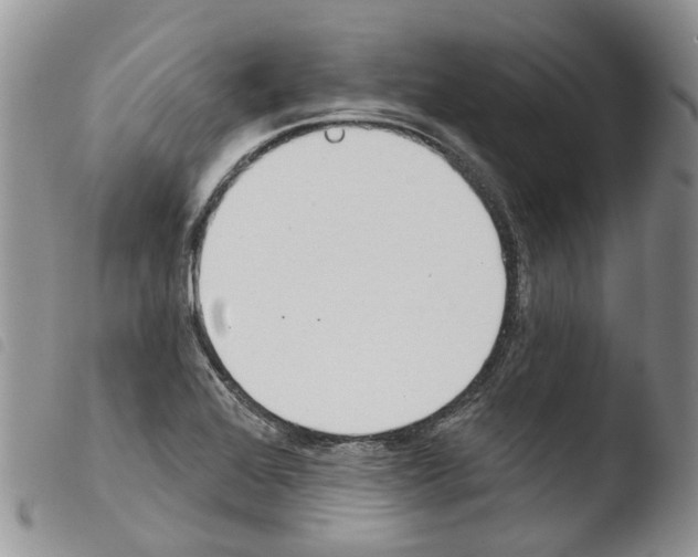 X0000103461368200810240939