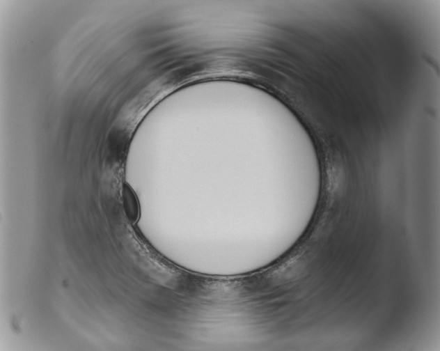 X0000103461369200810240939