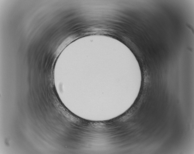 X0000103461370200810240939