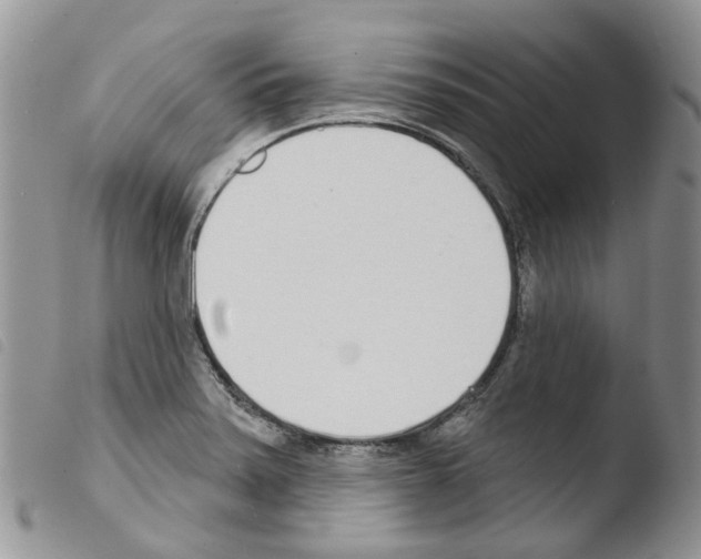 X0000103461371200810240939