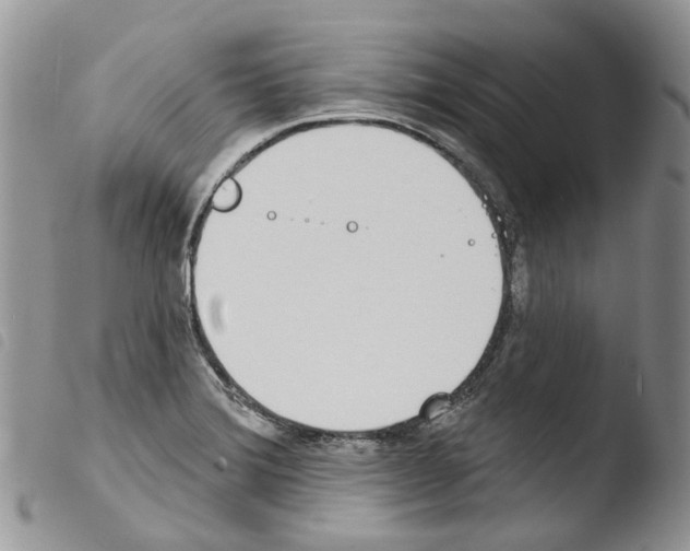 X0000103461372200810240939