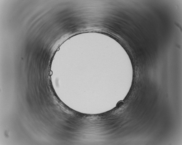X0000103461373200810240939