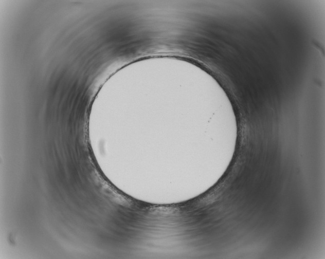 X0000103461374200810240939