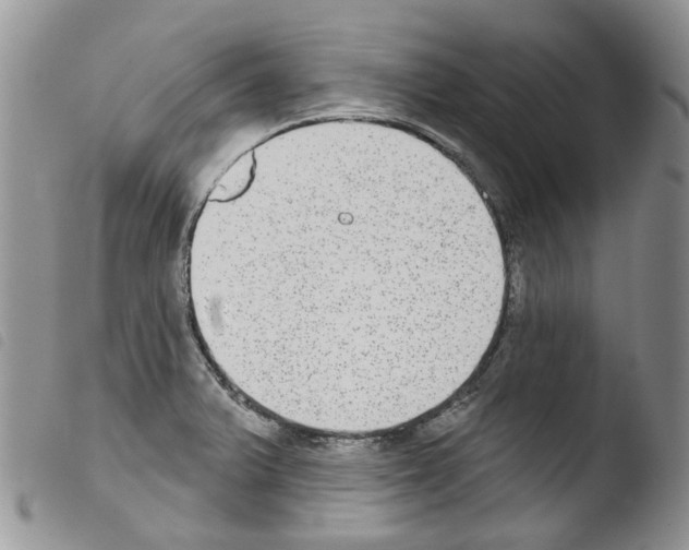 X0000103461375200810240939