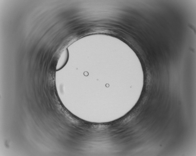 X0000103461377200810240939