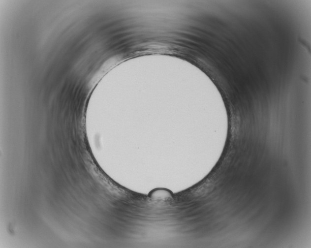 X0000103461378200810240939